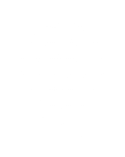 Titulares de um curso de ensino secundário ou de habilitação legalmente equivalente